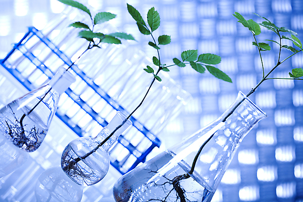 포토 JPG 해외이미지 식물 실내 실험 사람없음 아웃포커스 액체 화학 실험실 파란배경 비커 유리관 화학실험 둥근플라스크 해외202004 해외포토 과학 백그라운드 촬영기법 실험기구 내부 파란색 플라스크 파일형식 이미지허브