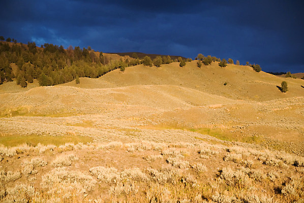 포토 JPG 해외이미지 주간 여행 자연 사람없음 야외 가로 컬러풀 평화 미국 침묵 활발 강렬 생태학 와이오밍 해외202004 해외포토 자연요소 교육 컬러 컨셉 북아메리카 소리 생태계 파일형식 이미지허브