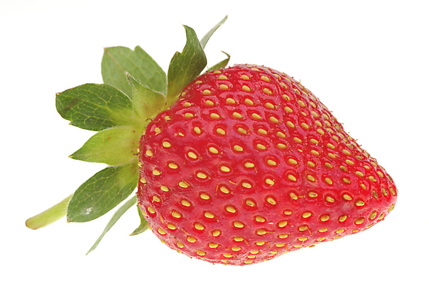 포토 JPG 해외이미지 1 열매 음식 백그라운드 컨셉 잎 과일 자연 딸기 디저트 건강 사랑 씨앗 사람없음 빨간색 초록색 정원 흰색 신선 최고 달콤 맛 먹기 싱글 유기농 날것 내추럴 고립 바이오 숙성 채식주의자 해외202004 해외포토 식물 웰빙 감정 컬러 모션 생태계 채식 파일형식 이미지허브