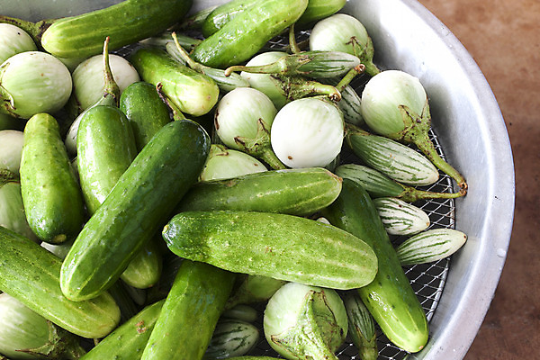 포토 JPG 해외이미지 식물 계절 음식 농업 다이어트 채소 재료 자연 가지 오이 건강 종류 사람없음 초록색 여름 주방 정원 샐러드 수확 성장 가을 시골 신선 원형 시장 먹기 유기농 원예 날것 내추럴 배급 숙성 채식주의자 비건 해외202004 해외포토 도형 웰빙 산업 컬러 모션 취미 생태계 채식 파일형식 이미지허브