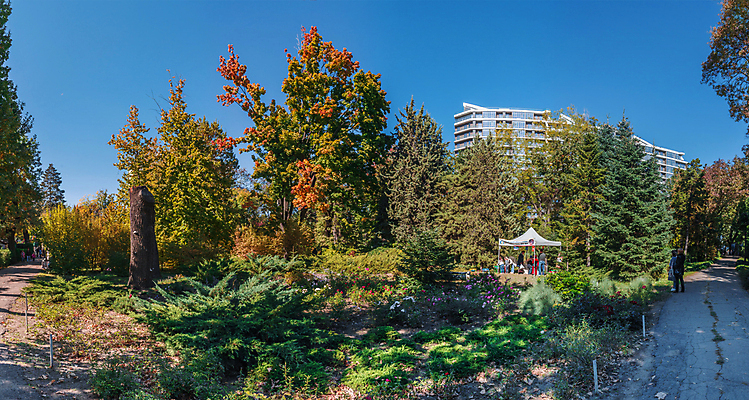 포토 JPG 해외이미지 나무 식물 디자인 공원 꽃 유럽 길 여행 백그라운드 잎 자연 파노라마 사람 풍경 사람없음 야외 초록색 평화 정원 화목 침묵 산책 가을 시골 모서리 오솔길 대학교 원예 시력 내추럴 우크라이나 해외202004 해외포토 계절 공공시설 나라 컬러 컨셉 학교 휴식 촬영기법 취미 소리 생태계 파일형식 이미지허브