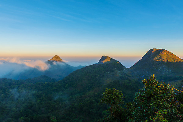 포토 JPG 해외이미지 나무 구름 계절 야생동물 여행 백그라운드 태국 자연 하늘 아침 날씨 휴가 산 풍경 사람없음 야외 빨간색 여름 빛 햇빛 태양 일출 환경 맑음 일몰 새벽 저녁 숲 장면 천국 내추럴 해외202004 해외포토 주간 자연요소 식물 동물 아시아 컬러 노을 야간 생태계 파일형식 이미지허브