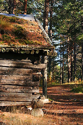 포토 JPG 해외이미지 나무 건축양식 자연 날씨 주택 사람없음 야외 건물 목재 골동품 가을 숲 통나무 수목 옛날 판잣집 해외202004 해외포토 식물 건축물 계절 건축 재료 생태계 파일형식 이미지허브