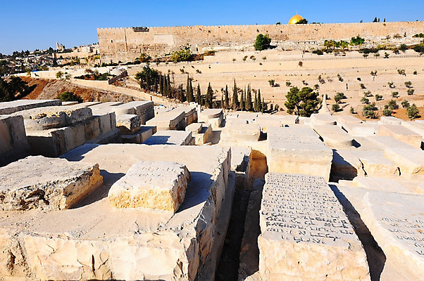 포토 JPG 해외이미지 나무 기독교 종교 문화 벽 여행 십자가 건축양식 하늘 지붕 벽돌 산 사람없음 건물 파란색 교회 탑 계곡 성경 도시 사찰 황금 위험 이슬람교 묘사 올리브 모스크 타운 장례 신앙심 예루살렘 옛날 유태교 이스라엘 장례식 팔레스타인 해외202004 해외포토 식물 건축물 열매 건축 컬러 컨셉 중동 종교용품 종교건축 서아시아 파일형식 이미지허브