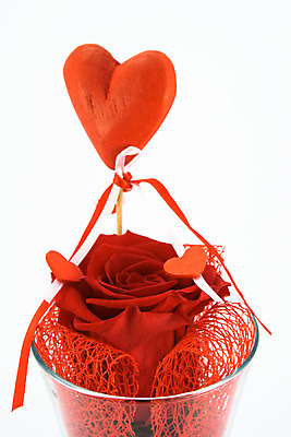 포토 JPG 해외이미지 꽃 감정 백그라운드 컨셉 발렌타인데이 사랑 사람없음 장식 빨간색 장미 벚꽃 흰색 하트 개화 심볼 고립 해외202004 해외포토 모양 식물 컬러 데이이벤트 파일형식 이미지허브