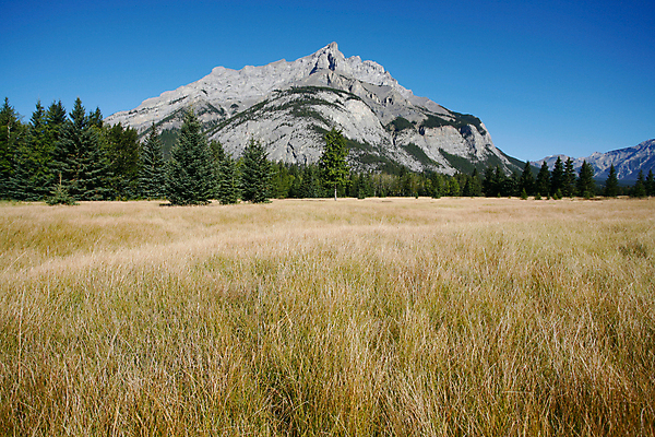 포토 JPG 해외이미지 나무 하늘 산 사람없음 파란색 절벽 정상 숲 밴프 절정 로키산맥 해외202004 해외포토 식물 컬러 파일형식 이미지허브