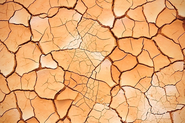 포토 JPG 해외이미지 아시아 지구 음식 모래 백그라운드 패턴 농업 자연 표면 날씨 추상 건조 사람없음 초록색 물 강 글로벌 갈색 환경 흙 손상 사막 수확 시골 죽음 뜨거움 거친 균열 낟알 땅 질감 먼지 점토 지역 진흙 다리찢기 깨짐 논밭 해외202004 해외포토 자연요소 나라 산업 컬러 컨셉 무늬 밭 모션 논 생태계 파일형식 이미지허브