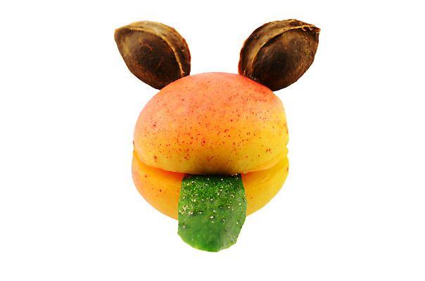 포토 JPG 해외이미지 채소 오이 뼈 사람없음 갈색 노란색 머리 혀 살구 해외202004 해외포토 컬러 과일 신체부위 입 파일형식 이미지허브