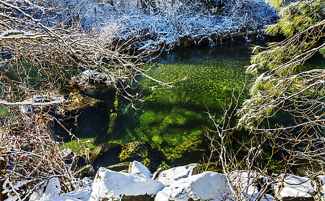 포토 JPG 해외이미지 나무 계절 호수 백그라운드 잎 겨울 패턴 자연 풍경 사람없음 야외 목재 물 강 컬러풀 반사 갈색 노란색 얼음 흰색 나뭇가지 시골 개울 숲 11월 장면 내추럴 워싱턴 해외202004 해외포토 자연요소 식물 컬러 무늬 재료 미국 날짜 생태계 파일형식 이미지허브