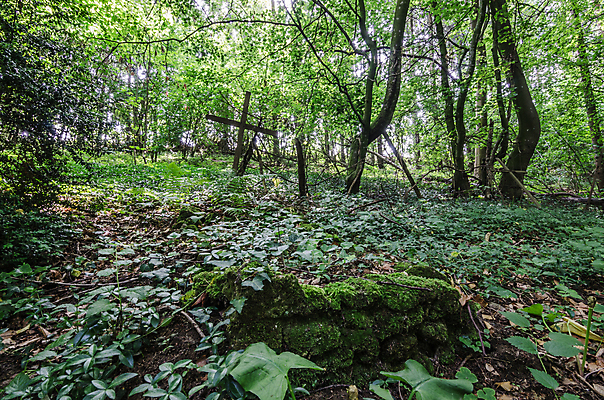 포토 JPG 해외이미지 꽃 기독교 종교 지구 백그라운드 십자가 부활절 사람없음 목재 조각상 검은색 성경 바위 기도 죽음 예수 영혼 목사 심볼 애도 신성 땅파기 신앙심 옛날 장례식 오싹 해외202004 해외포토 나무 식물 기념일 컬러 재료 종교용품 조형물 신_종교 성직자 파일형식 이미지허브