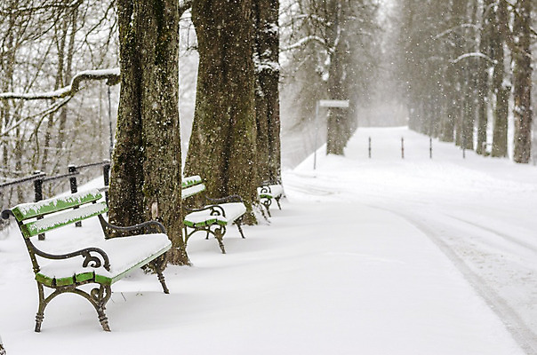 포토 JPG 해외이미지 나무 계절 공원 유럽 도로 백그라운드 겨울 벤치 의자 자연 날씨 휴식 풍경 사람없음 야외 목재 평화 정원 침묵 산책 흰색 고독 숲 시원함 오솔길 장면 내추럴 줄서기 해외202004 해외포토 식물 공공시설 감정 나라 길 컬러 가구 컨셉 재료 교통시설 모션 소리 생태계 파일형식 이미지허브