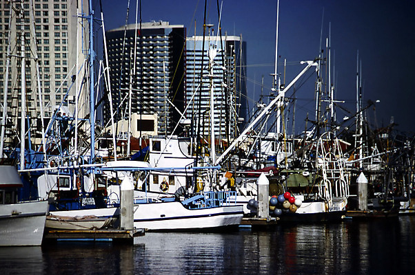 포토 JPG 해외이미지 바다 여행 비즈니스 건축양식 자연 하늘 호텔 사람없음 건물 물 도시풍경 항구 고층빌딩 미국 도시 만 보트 도심 캘리포니아 장면 태평양 스카이라인 해외202004 해외포토 자연요소 건축물 건축 북아메리카 배_교통 교통시설 숙소 풍경 빌딩 생태계 파일형식 이미지허브