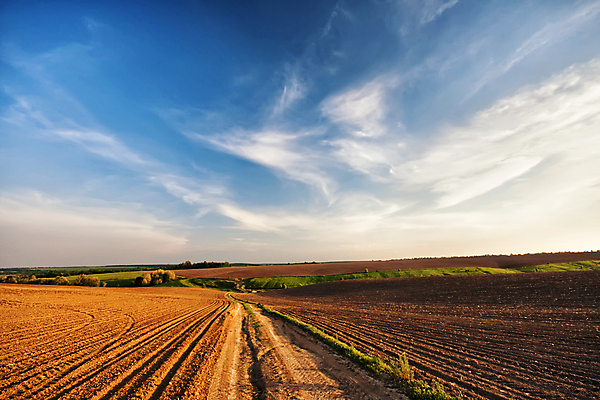 포토 JPG 해외이미지 나무 구름 계절 도로 여행 백그라운드 밭 자연 하늘 휴가 풍경 사람없음 야외 초록색 파란색 햇빛 갈색 노란색 맑음 일몰 봄 시골 5월 언덕 장면 내추럴 우크라이나 해외202004 해외포토 자연요소 식물 유럽 길 컬러 농업 교통시설 날씨 태양 노을 날짜 생태계 파일형식 이미지허브