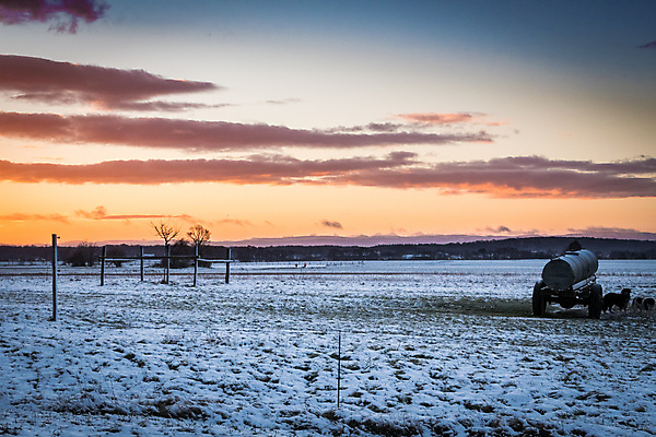 포토 JPG 해외이미지 나무 구름 겨울 오렌지 하늘 산 풍경 사람없음 파란색 태양 마을 일출 프랑스 흰색 개 숲 해외202004 해외포토 자연요소 식물 계절 유럽 컬러 과일 포유류 노을 파일형식 이미지허브