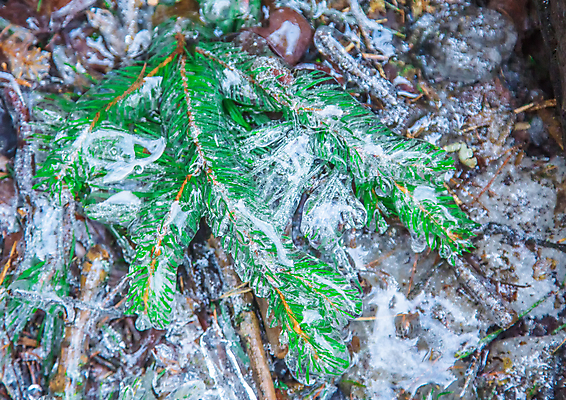 포토 JPG 해외이미지 주간 나무 여행 모션 자연 독일 풍경 사람없음 야외 물 강 환경 얼음 폭포 젖음 바위 시간 개울 중앙 숲 작음 땅 순수 지역 북쪽 내추럴 해외202004 해외포토 자연요소 식물 유럽 컨셉 돌_바위 크기 방향 생태계 파일형식 이미지허브