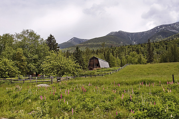 포토 JPG 해외이미지 나무 구름 꽃 밭 하늘 산 사람없음 초록색 농장 흐림 외양간 세련 해외202004 해외포토 자연요소 식물 컬러 농업 날씨 파일형식 이미지허브