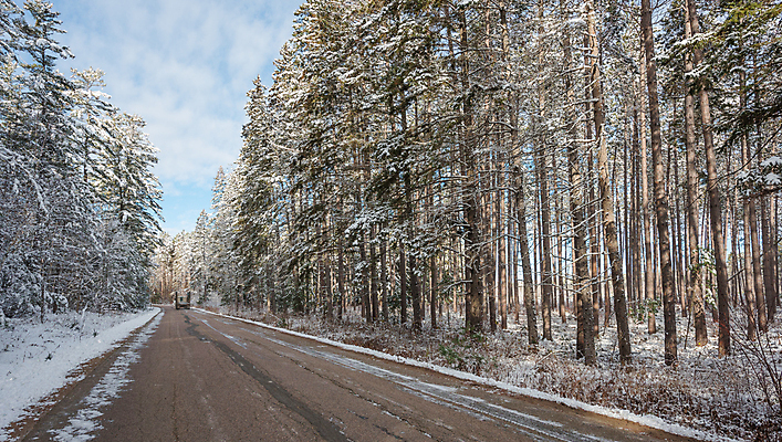 포토 JPG 해외이미지 자연 사람없음 야외 환경 얼음 트럭 가을 나뭇가지 시골 야광 내추럴 해외202004 해외포토 자연요소 나무 계절 자동차 빛 생태계 파일형식 이미지허브