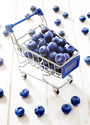 포토 JPG 해외이미지 열매 음식 백그라운드 컨셉 다이어트 과일 건강 사람없음 초록색 파란색 쇼핑 쌓기 상점 신선 시장 닫기 달콤 구매 작음 유기농 블루베리 건강식 미니 숙성 많음 해외202004 해외포토 식물 웰빙 컬러 모션 맛 크기 파일형식 이미지허브