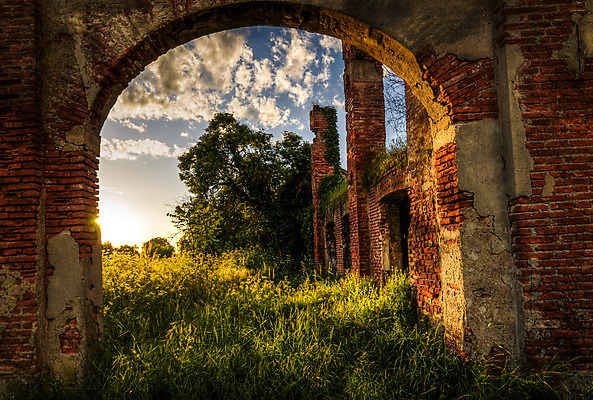 포토 JPG 해외이미지 나무 구름 외관 호수 밭 농업 건축양식 창문 자연 하늘 지붕 주택 건조 풍경 사람없음 건물 목재 초록색 파란색 농장 농경지 수확 골동품 시골 뜨거움 역사 버리기 향수 소금 대야 깨짐 세르비아 썩음 옛날 판잣집 해외202004 해외포토 자연요소 식물 건축물 건축 산업 컬러 컨셉 재료 모션 화장품 생태계 파일형식 이미지허브