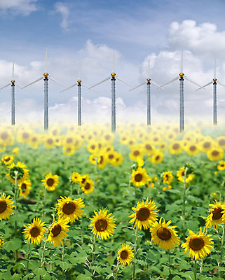 포토 JPG 해외이미지 식물 구름 계절 꽃잎 꽃 행복 산업 백그라운드 컨셉 잎 밭 농업 하늘 추상 해바라기 씨앗 풍경 사람없음 초록색 여름 파란색 컬러풀 햇빛 농장 노란색 환경 정원 힘 재활용 풍차 에너지 벚꽃 시골 개화 보호 항공 에코 꽃가루 유지 내추럴 혁명 꽃수술 생태학 세련 해외202004 해외포토 자연요소 교육 감정 컬러 무늬 태양 가루 친환경 파일형식 이미지허브