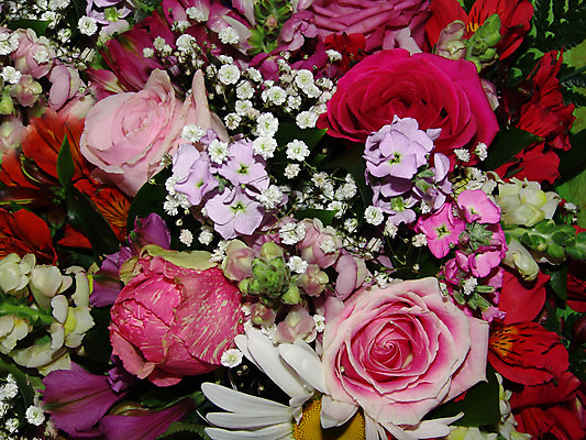 포토 JPG 해외이미지 식물 열매 꽃잎 꽃 꽃다발 백그라운드 꽃무늬 패턴 자연 벽지 선물 사람없음 장식 초록색 여름 컬러풀 귀여움 정원 축제 침묵 놀람 봄 벚꽃 하트 축하 신선 개화 의식 배열 심볼 순수 질감 기회 열정 내추럴 정물화 해외202004 해외포토 모양 계절 감정 컬러 컨셉 무늬 표정 소리 그림 생태계 파일형식 이미지허브