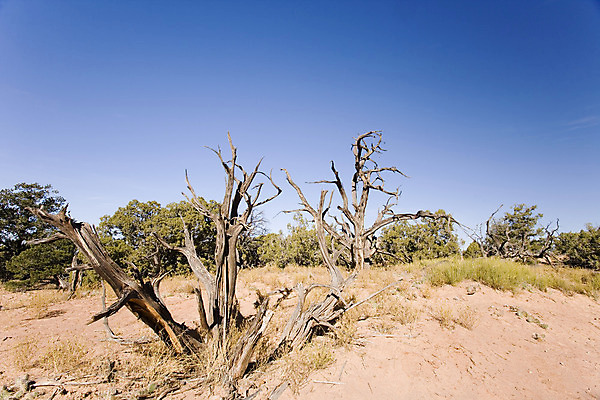 포토 JPG 해외이미지 분홍색 하늘 국립공원 사람없음 파란색 해외202004 해외포토 공원 컬러 파일형식 이미지허브