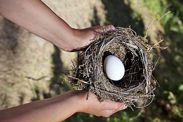 포토 JPG 해외이미지 동물 라이프스타일 손 행복 백그라운드 컨셉 자연 조류 부활절 새로움 건강 관리 안전 사람 성인 사람없음 목재 금융 환경 계란 봄 성장 잡기 그룹 닫기 둥지 보호 계획 묘사 내추럴 돌봄 많음 해외202004 해외포토 나무 계절 기념일 감정 재료 모션 생활 신체부위 경제 알 생태계 파일형식 이미지허브