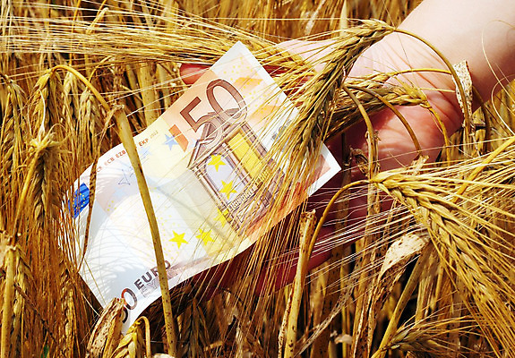 포토 JPG 해외이미지 식물 구름 손 계절 음식 빵 줄기 컨셉 밭 농업 손가락 자연 하늘 건강 옥수수 씨앗 사람 풍경 사람없음 야외 여름 농작물 농장 노란색 환경 희망 수확 성장 시골 잡기 재산 황금 닫기 농부 낟알 땅 시리얼 밀 유기농 보리 귀 장면 밀짚 내추럴 숙성 호밀 해외202004 해외포토 자연요소 직업 웰빙 감정 산업 컬러 모션 곡류 신체부위 금융 짚 생태계 파일형식 이미지허브