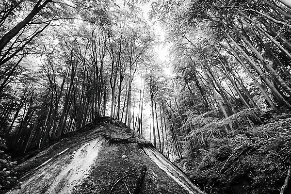 포토 JPG 해외이미지 구름 공원 지구 바다 여행 컨셉 자연 하늘 날씨 휴가 독일 흑백 국립공원 풍경 사람없음 야외 물 환경 어둠 하이킹 황무지 영혼 변화 고독 보호 숲 연결 드라마 멀리 기후변화 생태학 지질 수평선 해외202004 해외포토 자연요소 공공시설 교육 감정 유럽 레저 촬영기법 생태계 파일형식 이미지허브