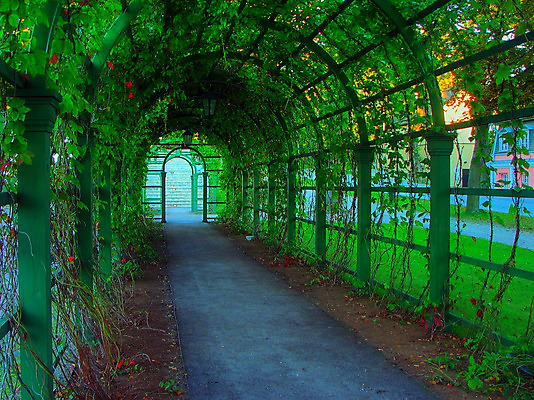 포토 JPG 해외이미지 나무 식물 디자인 계절 공원 도로 길 잎 자연 거리 그림자 풍경 사람없음 야외 초록색 여름 빛 울타리 컬러풀 태양 걷기 정원 맑음 산책 나뭇가지 시골 터널 우아함 오솔길 아치 장면 방법 줄서기 해외202004 해외포토 자연요소 공공시설 컬러 컨셉 교통시설 모션 날씨 휴식 담장 생태계 파일형식 이미지허브