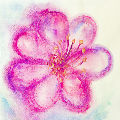 포토 JPG 해외이미지 식물 배너 꽃잎 꽃 종이 분홍색 백그라운드 잎 꽃무늬 패턴 일러스트 캘리그라피 자연 벽지 추상 수채화 발렌타인데이 미술 경사 사람없음 그래픽 장식 빨간색 여름 장미 봄 수확 벚꽃 흰색 나뭇가지 점 화려 스케치 그림 질감 복고 양귀비 판화 고립 그런지 파스텔톤 회복 해외202004 해외일러스트 나무 계절 컬러 컨셉 무늬 농업 데이이벤트 문화예술 생태계 파일형식 이미지허브