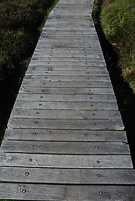 포토 JPG 해외이미지 길 자연 풍경 사람없음 목재 초록색 여름 산책 산책로 황무지 오솔길 갑판 방법 해외202004 해외포토 나무 계절 컬러 배_교통 재료 휴식 생태계 파일형식 이미지허브