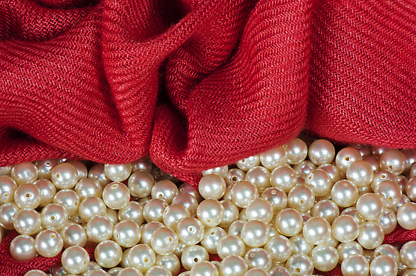 포토 JPG 해외이미지 꽃 결혼 선물 사람없음 장미 굴 흰색 보석 해외202004 해외포토 식물 컬러 어패류 이벤트 광석 파일형식 이미지허브