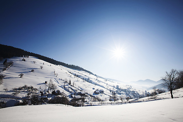 포토 JPG 해외이미지 주간 나무 계절 백그라운드 겨울 자연 하늘 산 풍경 경사 사람없음 파란색 빛 햇빛 태양 계곡 얼음 추위 흰색 화려 북극 언덕 즐거움 스카이라인 내추럴 웅장함 해외202004 해외포토 자연요소 식물 감정 컬러 컨셉 극지방 생태계 파일형식 이미지허브
