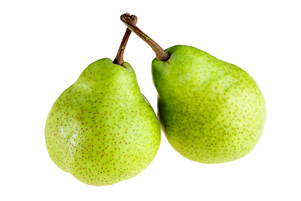 포토 JPG 해외이미지 식물 라이프스타일 계절 지구 음식 백그라운드 농업 다이어트 과일 자연 건강 사람없음 초록색 여름 농장 정원 젖음 수확 가을 흰색 신선 맛 떨어짐 상품 먹기 유기농 생태계 원예 칼로리 내추럴 고립 밭일 생태학 채식주의자 해외202004 해외포토 웰빙 교육 산업 컬러 컨셉 모션 취미 생활 채식 파일형식 이미지허브