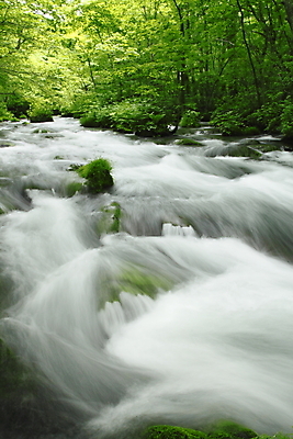 포토 JPG 해외이미지 나무 자연 사람없음 초록색 물 햇빛 일본 힘 폭포 광선 해외202004 해외포토 자연요소 식물 아시아 컬러 태양 생태계 파일형식 이미지허브