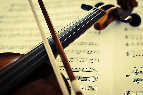 포토 JPG 해외이미지 악기 음악 현악기 사람없음 아웃포커스 바이올린 악보 해외202004 해외포토 문화예술 촬영기법 파일형식 이미지허브