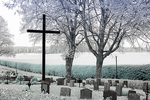 포토 JPG 해외이미지 종교 문화 조각 십자가 신체 창문 사람없음 건물 초록색 파란색 교회 천주교 죽음 묘사 천연기념물 기관 장례식 회원 해외202004 해외포토 건축물 컬러 종교건축 파일형식 이미지허브