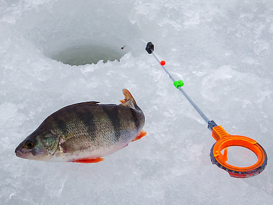 포토 JPG 해외이미지 구름 남자 호수 여행 겨울 자연 성공 낚시 어류 사람 앉기 취미 사람없음 물 강 냉동 얼음 추위 흰색 서리 낚시꾼 해외202004 해외포토 자연요소 계절 컬러 컨셉 모션 레저 수중동물 생태계 파일형식 이미지허브