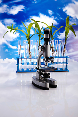 포토 JPG 해외이미지 식물 구름 하늘 실내 현미경 실험 사람없음 액체 화학 실험실 플라스크 시험관 비커 유리관 화학실험 시험관대 해외202004 해외포토 자연요소 과학 실험기구 내부 파일형식 이미지허브