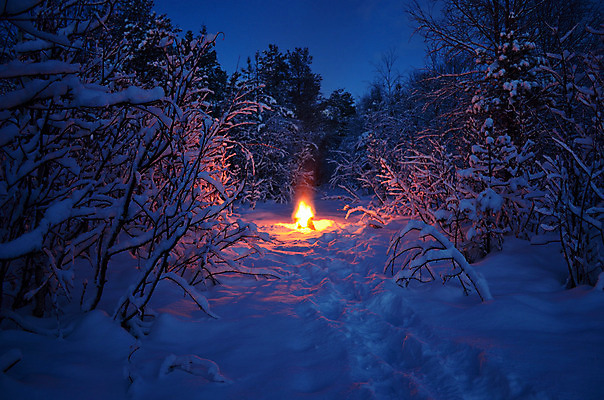 포토 JPG 해외이미지 겨울 자연 사람없음 야외 야간 숲속 모닥불 겨울풍경 해외202004 눈덮임 해외포토 자연요소 계절 컨셉 불 풍경 숲 생태계 파일형식 이미지허브