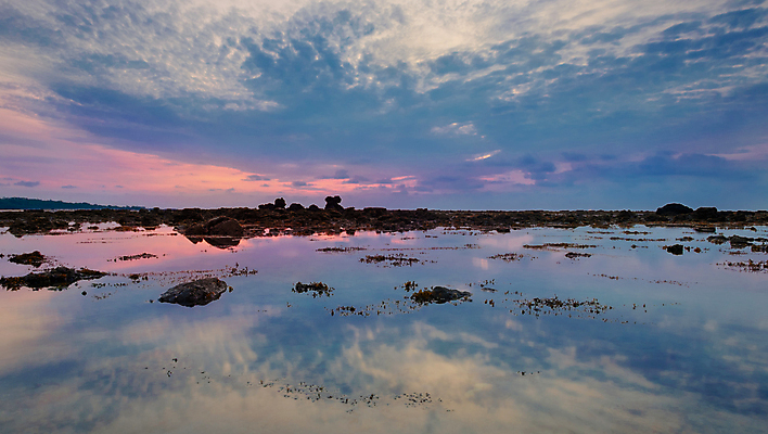 포토 JPG 해외이미지 구름 모래 바다 백그라운드 오렌지 자연 조류 하늘 아침 풍경 사람없음 물 파란색 빛 컬러풀 햇빛 태양 반사 일출 맑음 황혼 일몰 새벽 바위 점토 내추럴 잔물결 해일 수평선 해외202004 해외포토 주간 자연요소 동물 물결 컬러 과일 날씨 노을 돌_바위 자연재해 생태계 파일형식 이미지허브