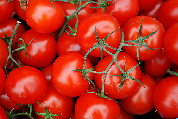 포토 JPG 해외이미지 잡화 아시아 음식 줄기 백그라운드 다이어트 토마토 채소 과일 자연 건강 씨앗 동양인 사람없음 초록색 농장 쌓기 주방 식당 카페 신선 시장 달콤 맛 아침식사 사과 농부 주식 다발 수집 먹기 순수 유기농 질감 날것 제비 토막 슈퍼마켓 내추럴 살사댄스 많음 해외202004 해외포토 식물 직업 웰빙 나라 컬러 컨셉 농업 모션 조류 인종 금융 상점 식사 춤 생태계 파일형식 이미지허브