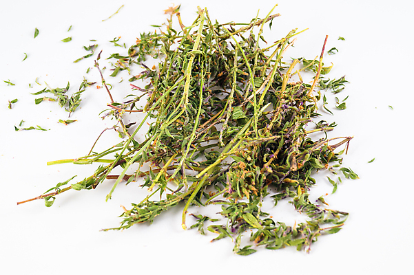 포토 JPG 해외이미지 식물 꽃잎 꽃 분홍색 백그라운드 꽃무늬 오렌지 자연 건조 건강 사람없음 야외 초록색 건강관리 정원 보라색 센터 닫기 정상 허브 묘사 유기농 원예 꽃가루 동쪽 고슴도치 보충 면역력 영원 치유 해외202004 해외포토 웰빙 컬러 무늬 과일 포유류 모션 관리 취미 가루 방향 생태계 파일형식 이미지허브