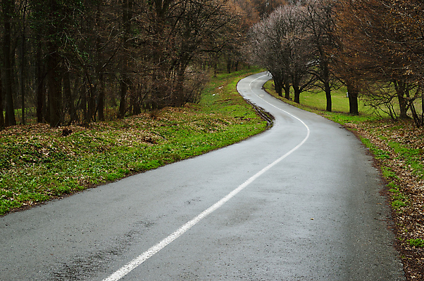 포토 JPG 해외이미지 나무 공원 도로 길 잎 밭 곡선 풍경 사람없음 야외 초록색 봄 가장자리 숲 아스팔트 땅 굴곡 해외202004 해외포토 식물 계절 공공시설 선 컬러 농업 교통시설 둘레 파일형식 이미지허브