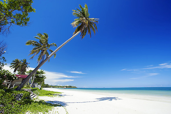 포토 JPG 해외이미지 나무 아시아 모래 바다 섬 여행 백그라운드 태국 자연 하늘 호텔 휴가 휴식 열대 손바닥 풍경 사람없음 야외 물 여름 파란색 태양 평화 맑음 고요 추위 바 고독 휴양지 석호 파라다이스 해외202004 해외포토 자연요소 식물 손 계절 감정 나라 컬러 컨셉 숙소 날씨 장소 생태계 파일형식 이미지허브
