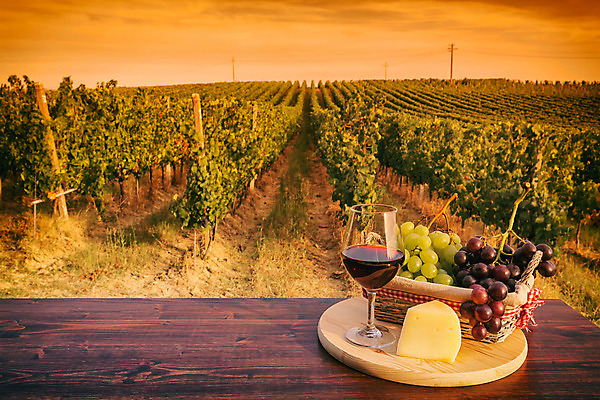 포토 JPG 해외이미지 음료 음식 밭 농업 과일 유리 탁자 포도 치즈 풍경 사람없음 야외 가로 빨간색 여름 와인 일몰 흰색 시골 다발 포도밭 숙성 양조장 해외202004 해외포토 계절 산업 컬러 가구 재질 유제품 주류 노을 파일형식 이미지허브