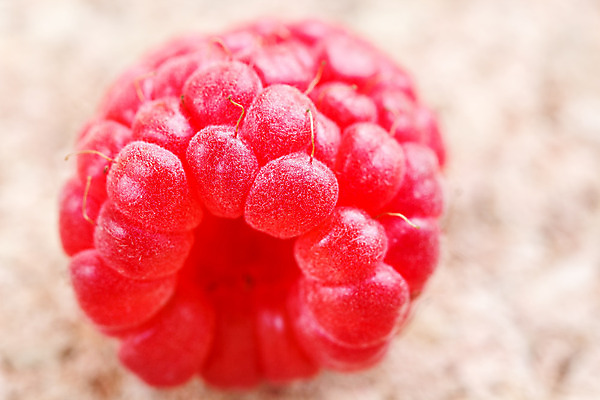 포토 JPG 해외이미지 식물 계절 열매 길 음식 분홍색 백그라운드 패턴 농업 채소 과일 재료 자연 디저트 건강 관리 사람없음 빨간색 여름 봄 활발 흰색 신선 그룹 달콤 자르기 먹기 오브젝트 싱글 상쾌 유기농 질감 날것 산딸기 슛 멀리 고립 숙성 채식주의자 비건 해외202004 해외포토 웰빙 감정 산업 컬러 컨셉 무늬 모션 맛 생태계 채식 파일형식 이미지허브