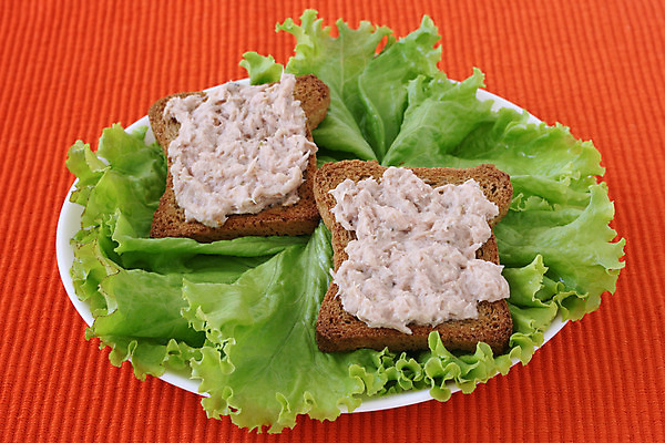 포토 JPG 해외이미지 전통 접시 음식 다이어트 건강 사람없음 초록색 식사 저녁식사 상추 참치 먹기 속도 준비 토스트 소금 점심식사 절임 해외202004 해외포토 식기 빵 컬러 채소 모션 어류 파일형식 이미지허브