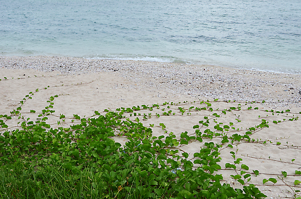 포토 JPG 해외이미지 바다 여행 백그라운드 자연 건조 사람없음 야외 물 여름 평화 고독 지역 내추럴 해외202004 해외포토 자연요소 계절 감정 컨셉 생태계 파일형식 이미지허브